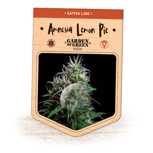 Garden Of Green - Amnesia Lemon Pie