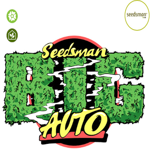 Seedsman - B.I.G. Auto