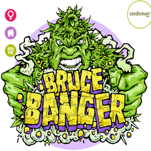 Seedsman - Bruce Banger FAST