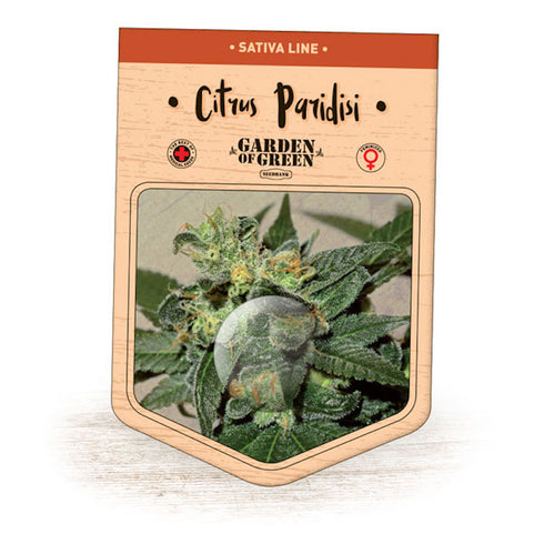 Garden Of Green - Citrus Paradisi