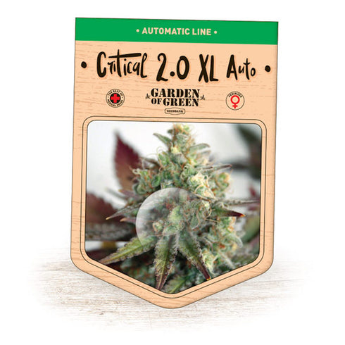 Garden Of Green - Critical 2.0 XL Auto