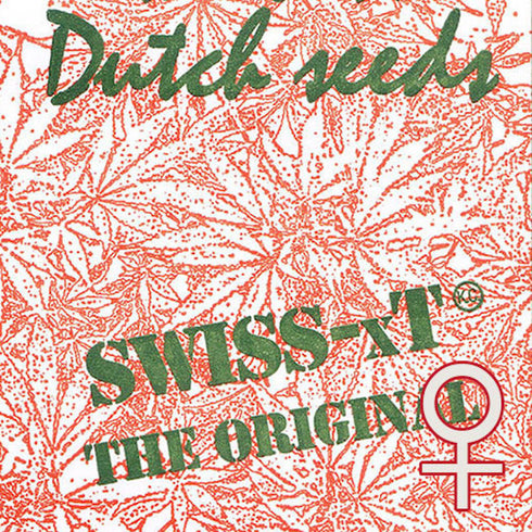 KC Brains - Swiss XT