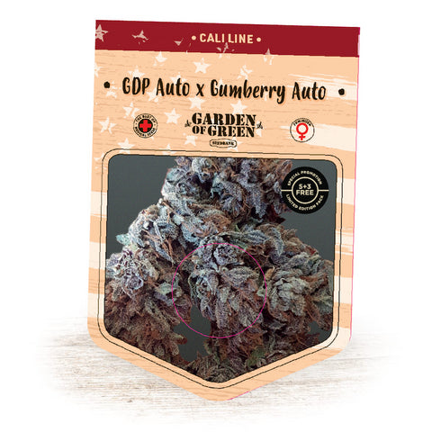 Garden Of Green - GDP Auto x Gumberry Auto