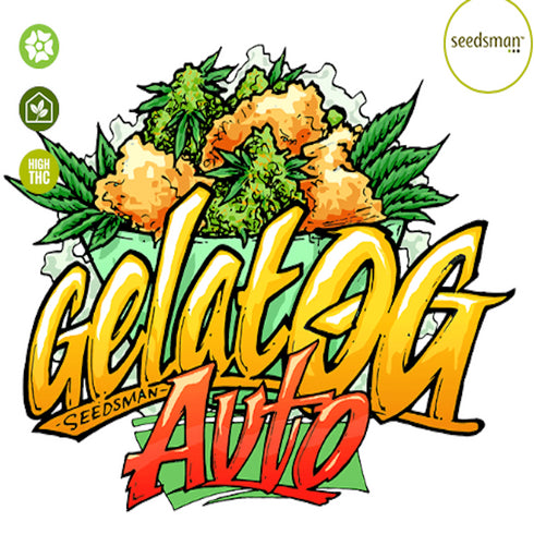 Seedsman - Gelat.OG Auto