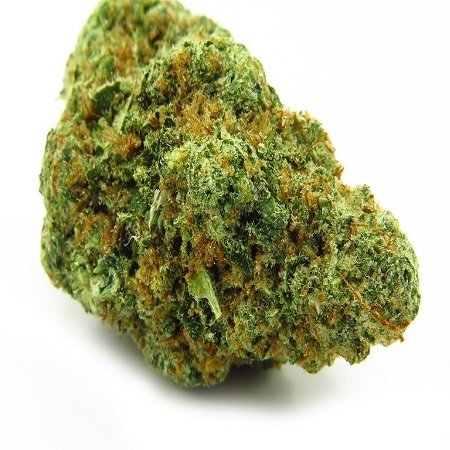 Professor Trichome Seeds - Auto Gelato