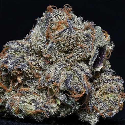 Professor Trichome Seeds - Grandaddy Purple