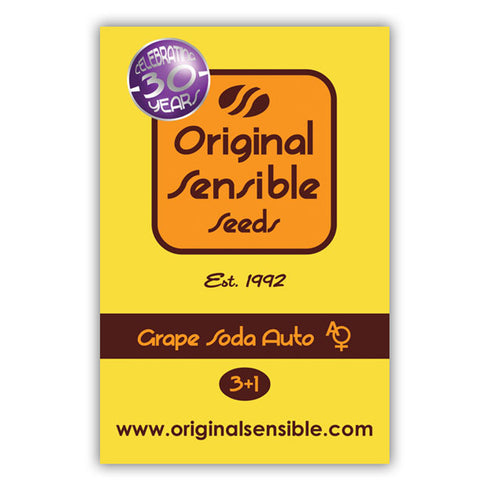 Original Sensible Seeds - Grape Soda Auto