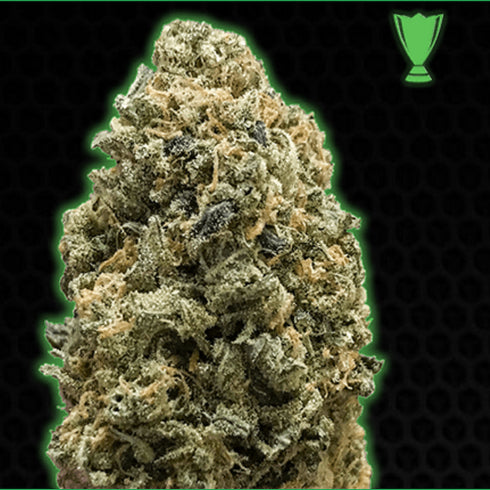 Monster Genetics - Monster Bruce Banner