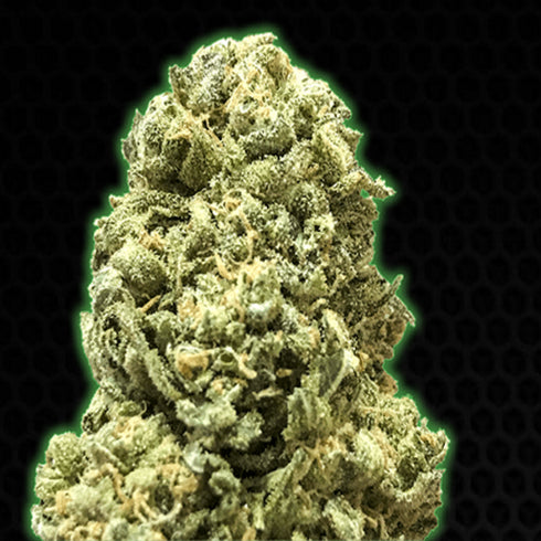 Monster Genetics - Monster Girl Scout Cookies