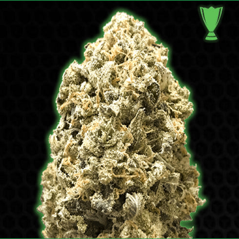 Monster Genetics - Monster Pebbles