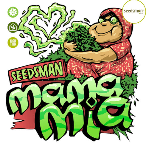 Seedsman - Mama Mia Auto