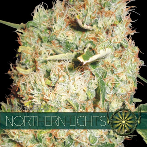 Vision Seeds - Northern Lights