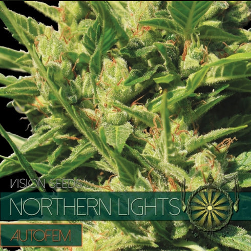 Vision Seeds - Northern Lights Auto