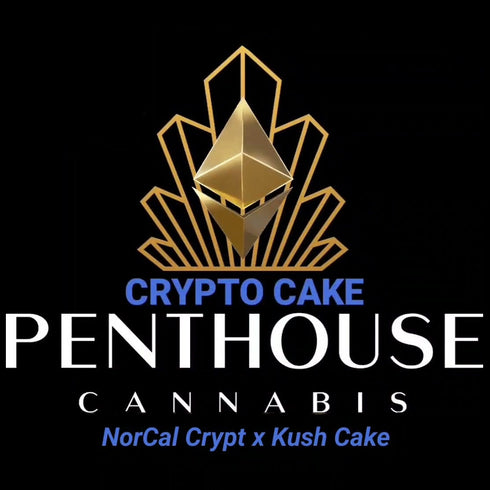 Penthouse Cannabis Seeds - Crypto Cake