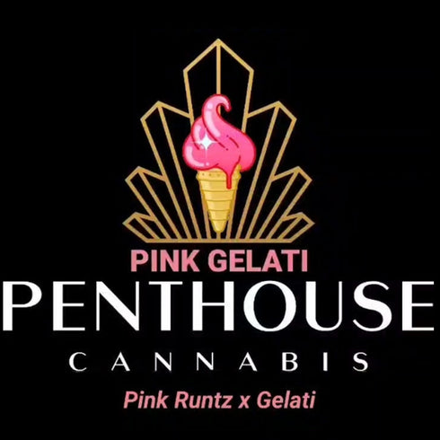 Penthouse Cannabis Seeds - Pink Gelati