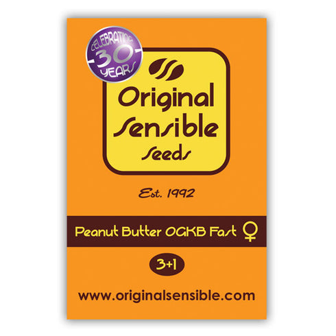 Original Sensible Seeds - Peanut Butter OGKB Fast