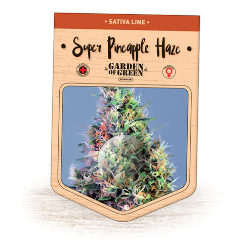 Garden Of Green - Super Pineapple Haze
