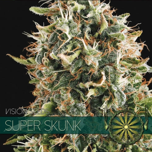 Vision Seeds - Super Skunk