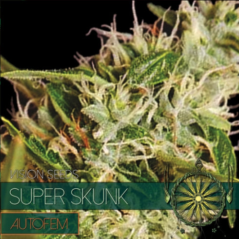 Vision Seeds - Super Skunk Auto