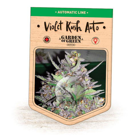 Garden Of Green - Violet Kush