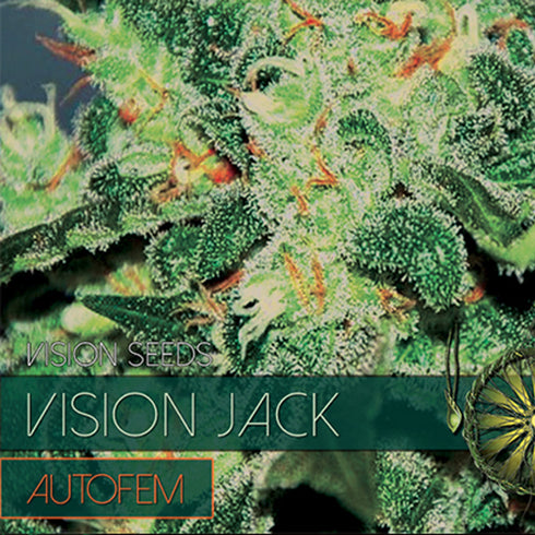 Vision Seeds - Vision Jack Auto