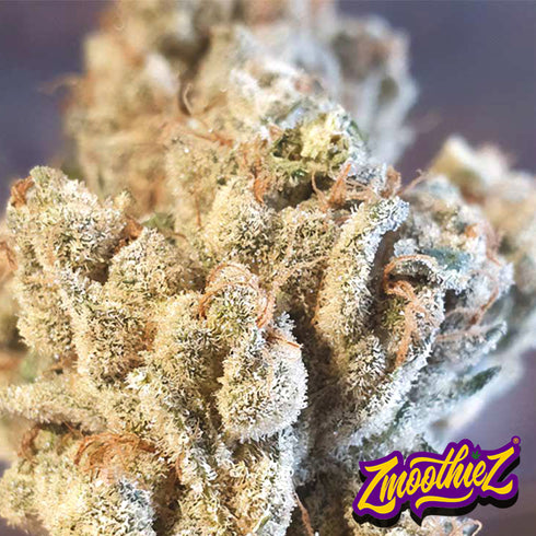 Zmoothiez - Banana Jelly'z