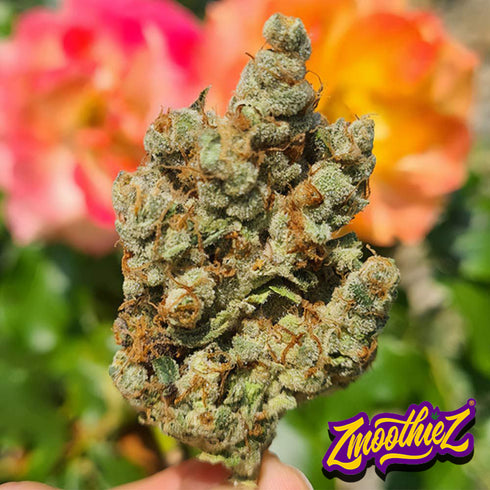 Zmoothiez - Candy Lime