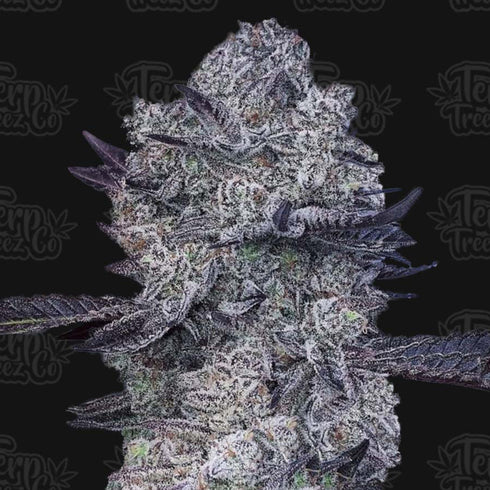 Terp Treez Co - Zoap #39