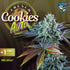 T.H. Seeds - Auto French Cookies