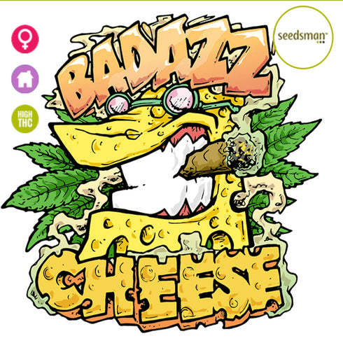 Seedsman - Badazz OG Cheese