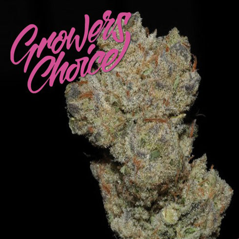 Growers Choice - Banana Glue