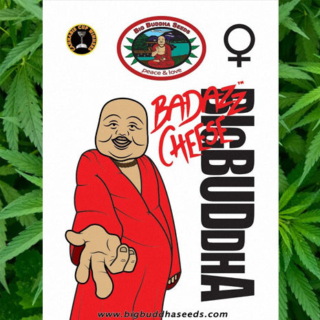 Big Buddha Seeds - Badazz Cheese