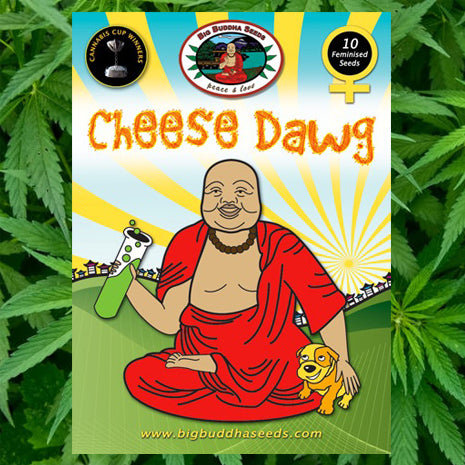 Big Buddha Seeds - Cheese Dawg