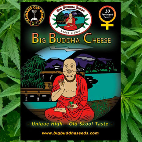 Big Buddha Seeds - Original Cheese