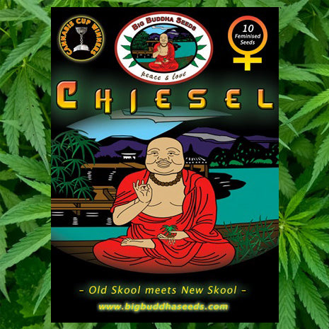 Big Buddha Seeds - Chiesel