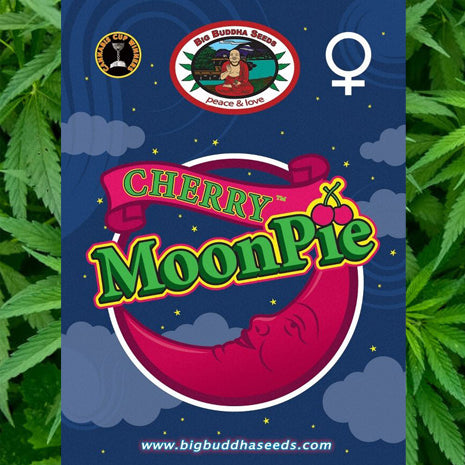 Big Buddha Seeds - Cherry Moon Pie