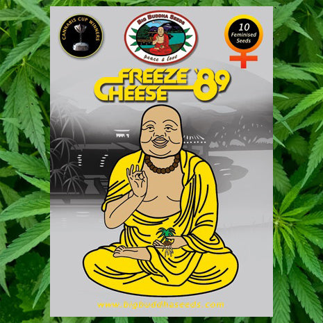 Big Buddha Seeds - Freeze Cheese '89