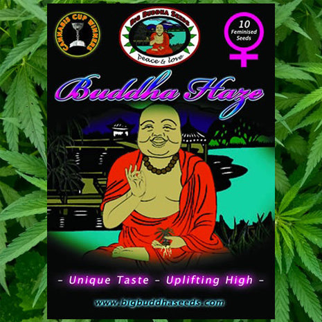 Big Buddha Seeds - Buddha Haze