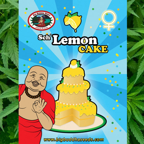 Big Buddha Seeds - SchLemon Cake