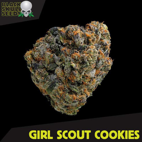 Black Skull - Girl Scout Cookies