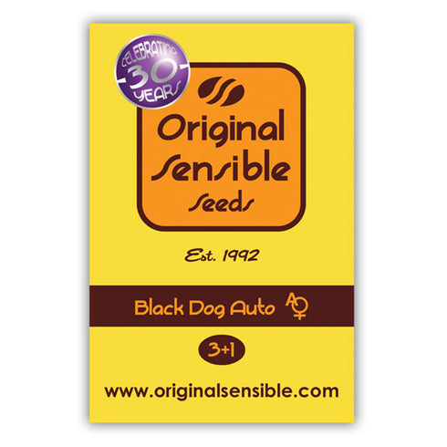 Original Sensible Seeds - Black Dog Auto