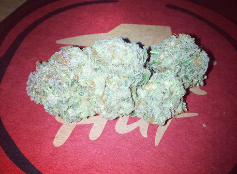 Dankonomics Genetics - Blue Tooth