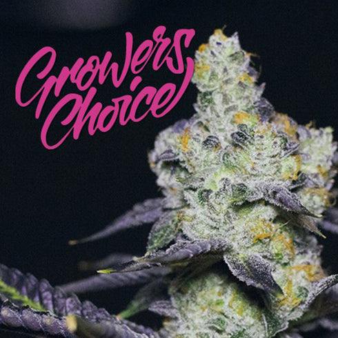 Growers Choice - Blue Dream Sherbet