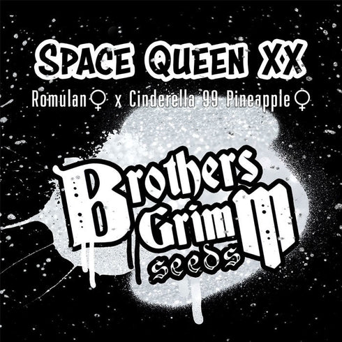 Brothers Grimm Seeds - Space Queen XX