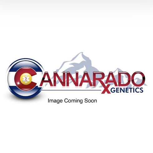Cannarado Genetics - Gushcanna