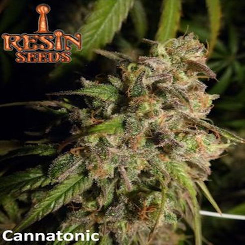 Resin Seeds - Cannatonic