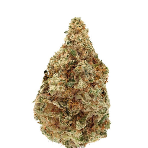 Growers Choice - Charlotte's Dream CBD Auto