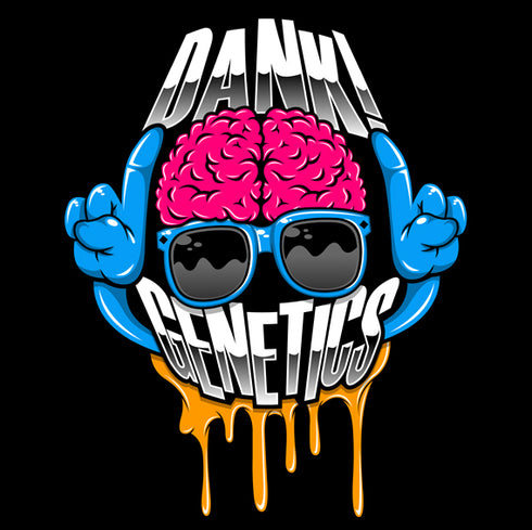 Dank Genetics - Sunset Travellers