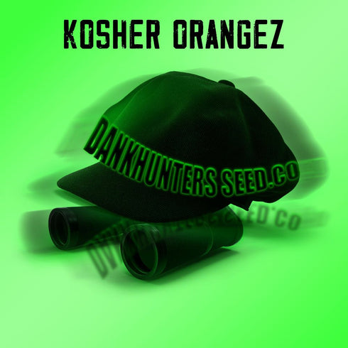 DankHunters Seed Co. - Kosher Orangez