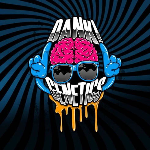 Dank Genetics - Dank N Later